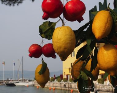 İtalya’nın Garda Gölü’nde şarap ve doğa kaçamağı…